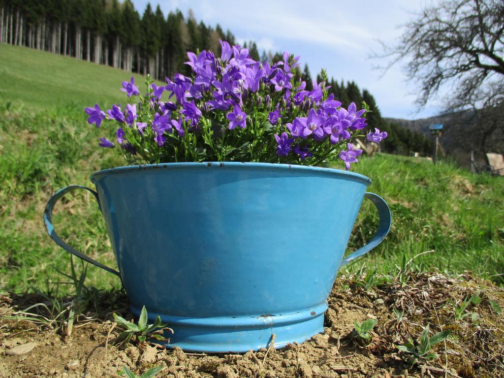 Apartments Berghof Familie Steinwender Polling  Екстер'єр фото